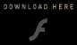 Download Flash Plugin